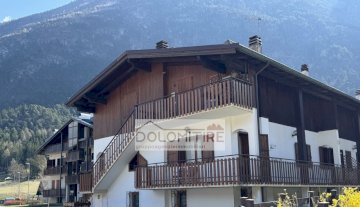 Appartamento - Perarolo di Cadore CARALTE