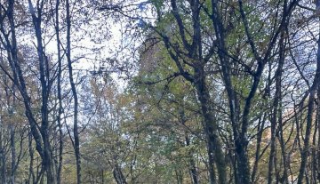 Baita-Chalet-Trullo-Stazzo - Borgo Valbelluna Mel