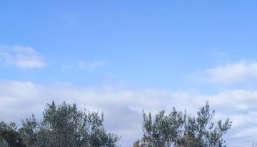 Azienda agricola - Oristano