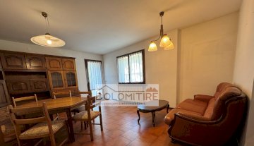 Appartamento - Perarolo di Cadore CARALTE