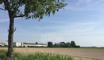 Terreno - Udine LATISANA