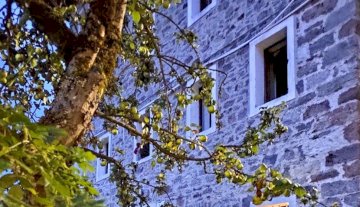 Unifamiliare Casa singola - Val di Zoldo