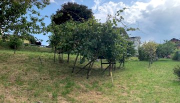 Terreno - Ponte nelle Alpi