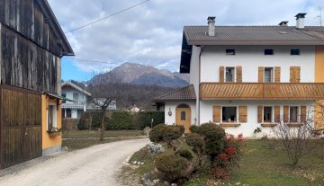 Schiera di testa - Alpago