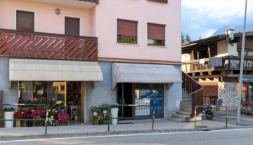 Locale commerciale Negozio - Belluno PERIFERIA DX PIAVE OVEST MUSSOI