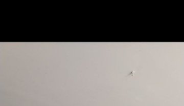 Locale commerciale Negozio - Belluno