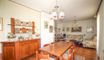 Appartamento - Conegliano SEMICENTRALE