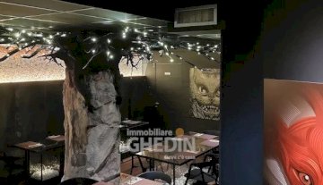 Locale commerciale Bar - Udine