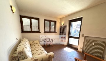 Appartamento - Valle di Cadore VENAS