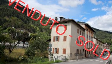 Schiera di testa - Valle di Cadore