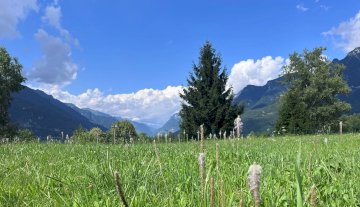 Terreno - Ponte nelle Alpi